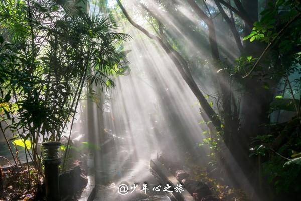 算24点游戏